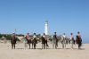 Our horses enjoy the beach as well