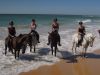 The horses enjoy playing in the surf