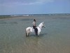 A group enjoying a gallop on our horse holiday