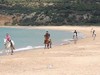 Cooling the horse down on the beach