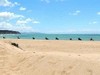 Fantastic beach riding on holiday