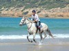 Great riding on our equestrian holiday