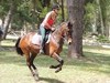 A gallop along a firebreak A group on our horse riding holiday