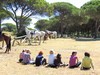 A group relaxing after a gallop on our equestrian vacation A group enjoying the forest on our horse riding holiday