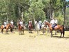A firebreak gallop on our horse riding holiday It's great fun horse riding in the forest
