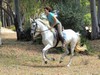 Our guests love riding their horse in the forest Superb off road horse riding