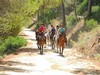 Chilling out on horse back Relaxing horse riding in the forest