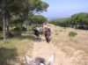 The Spanish countryside in Spring The forest on our equestrian vacation