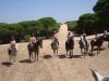 Relaxing riding on the cliff path Equestrian holidays on horse back