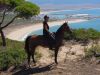 Fantastic riding in the forest Horse riding holidays in a national park